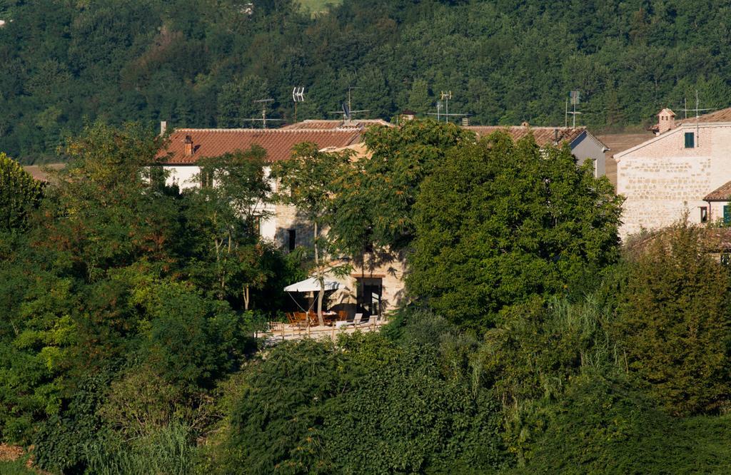 Il Sogno Di Tino Villa Cabernardi Exteriör bild