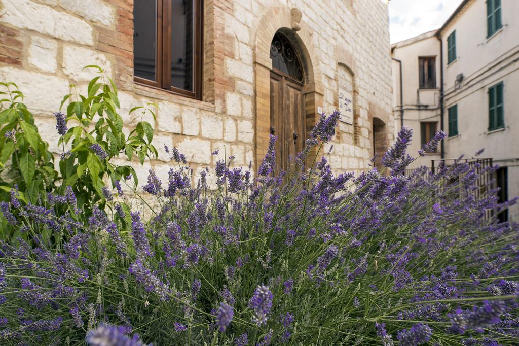 Il Sogno Di Tino Villa Cabernardi Exteriör bild